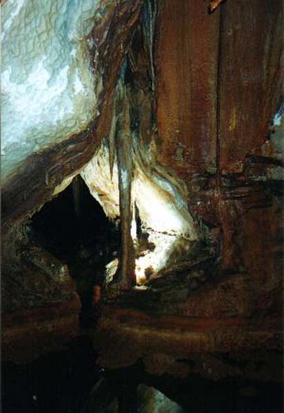 denis11