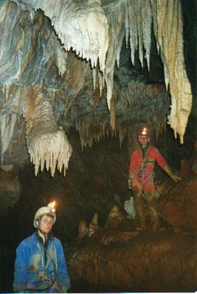 denis6