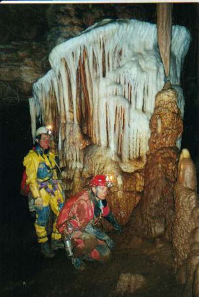denis7