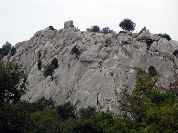 DSCN8208