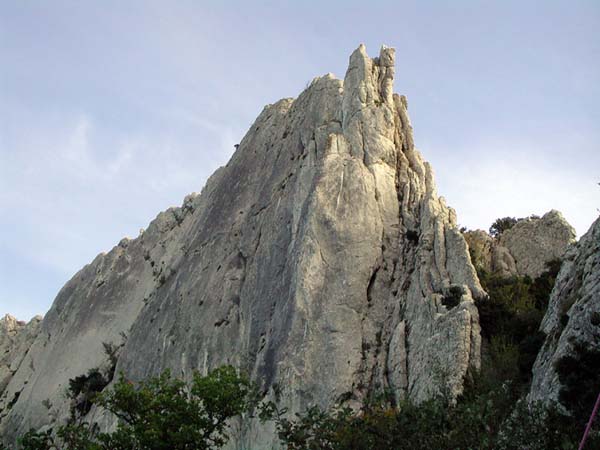 DSCN8236