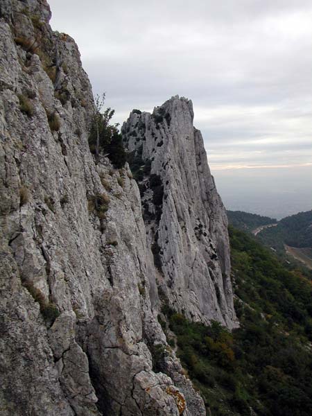 DSCN8241