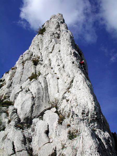 DSCN8271