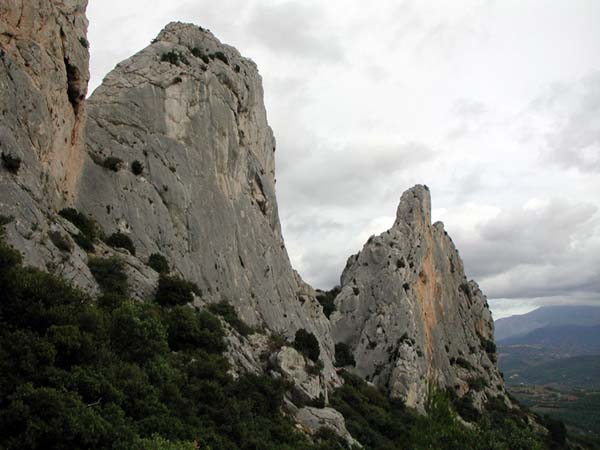DSCN8273