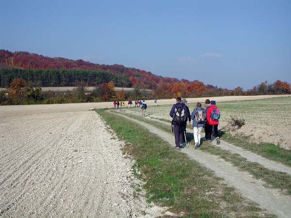DSCN8287