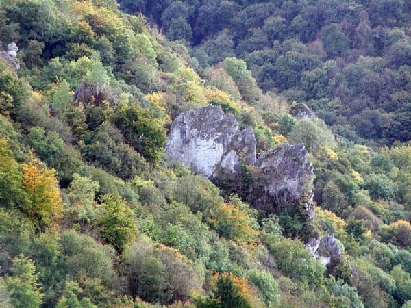 DSCN8168