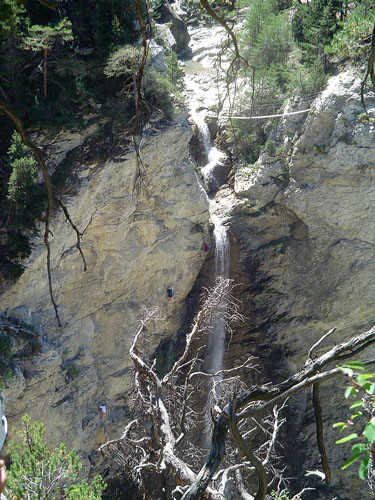DSC02029