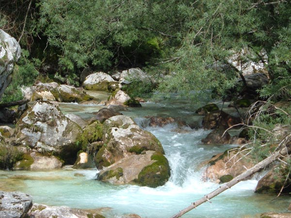 35.LA SOCA