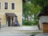 33.LA VIE TREPIDANTE DE TRENTA