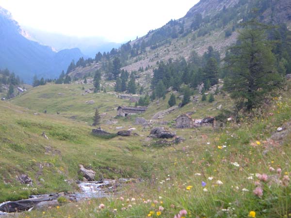 147-Le vallon de Vallante au petit matin